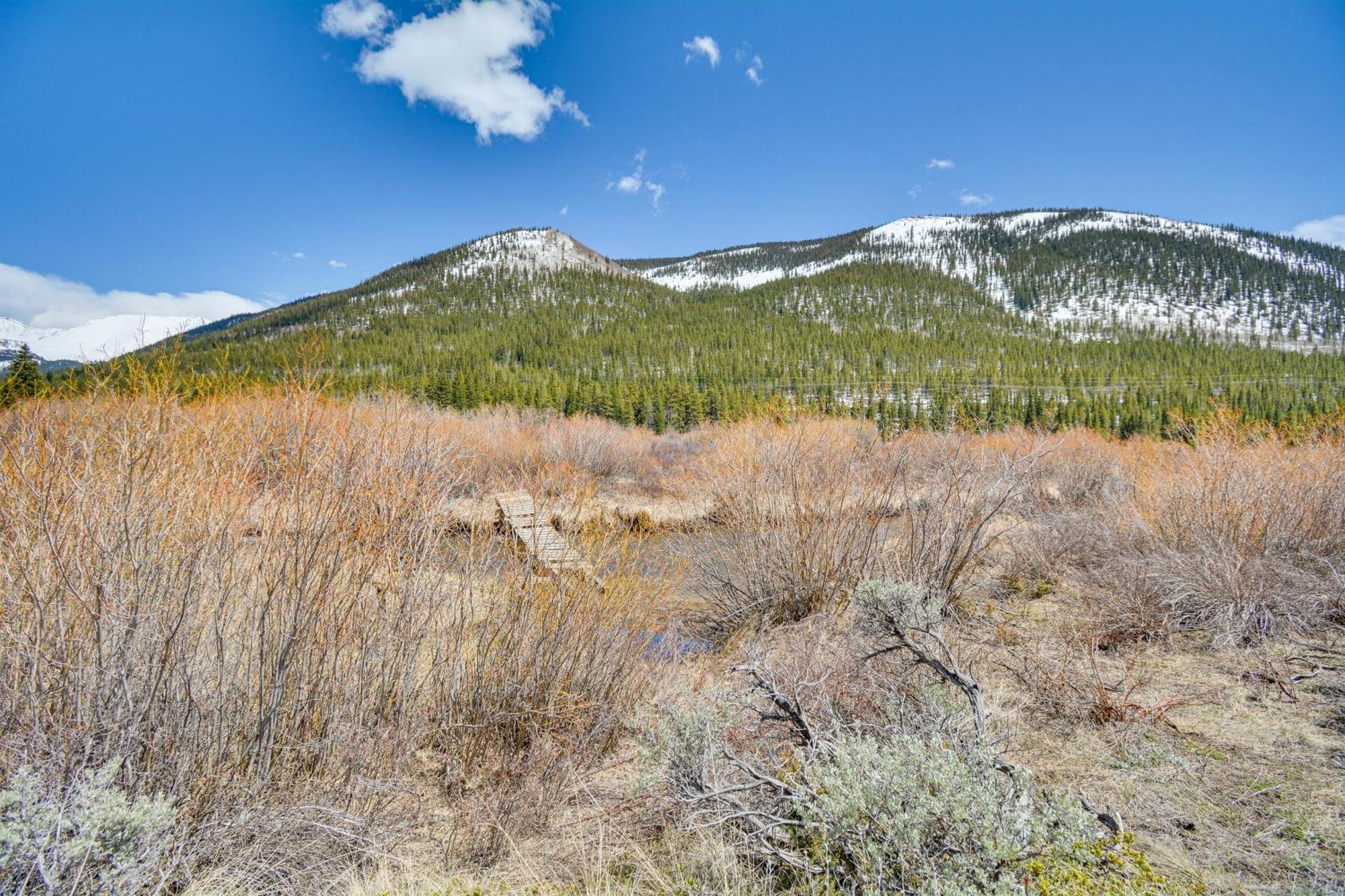 Spacious Leadville Retreat With Hot Tub And Gas Grill エクステリア 写真